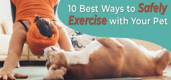 10 Best Ways to Safely Exercise with Your Pet